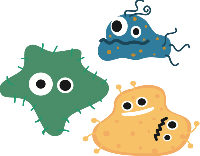 bacteria